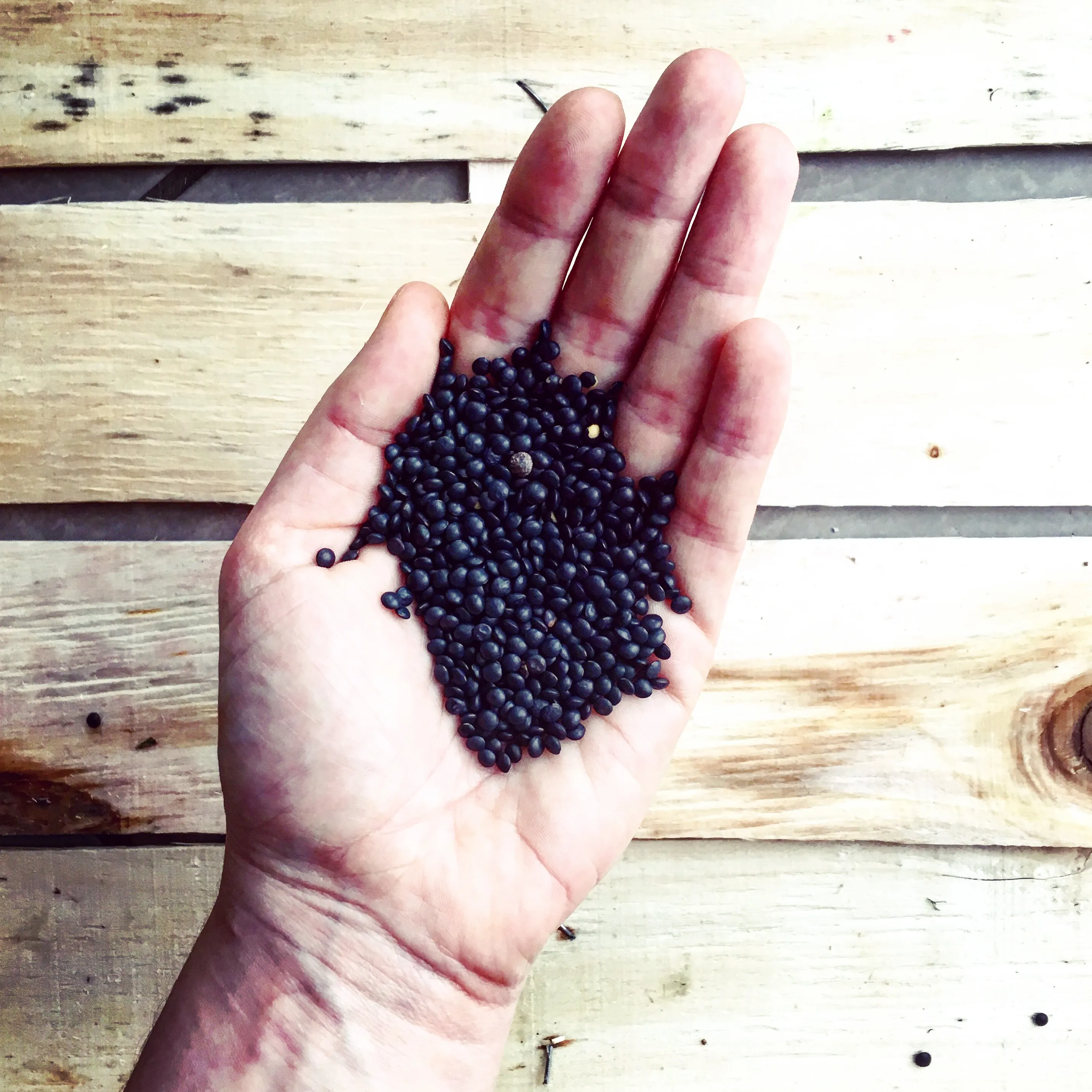 #Day2 : 5 a Day Challenge