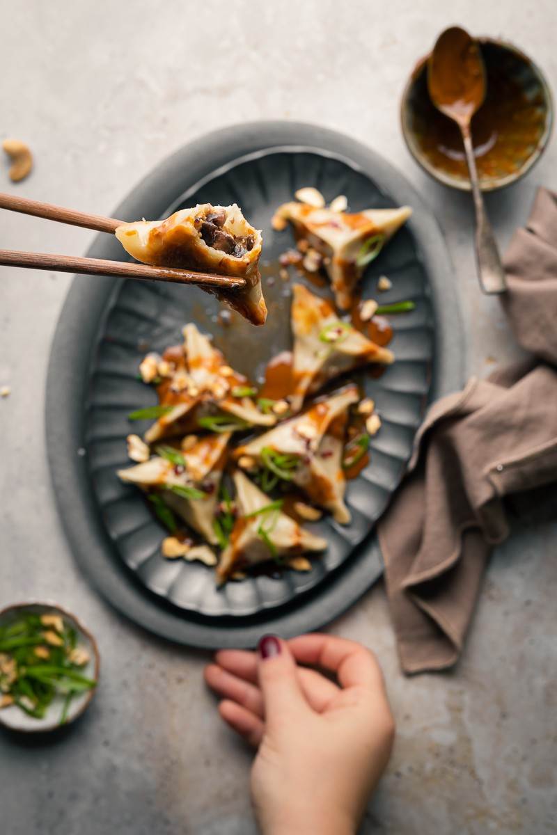 ravioli cinesi vegani ripieni di funghi con salsa dan dan