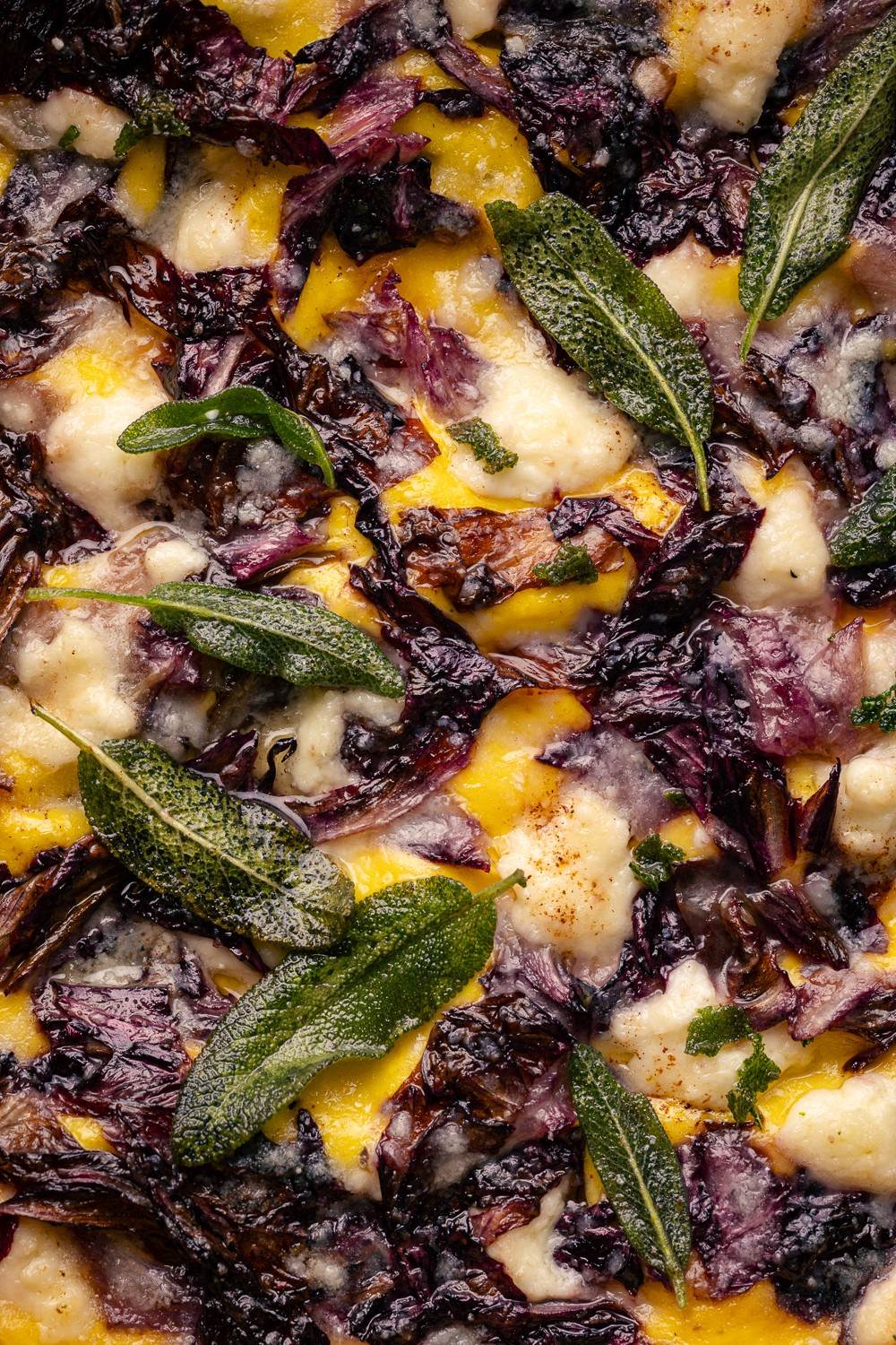 lasagne vegetariane al radicchio e zafferano con salvia fritta